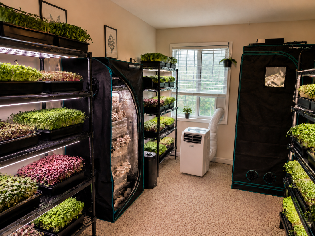 Why Trustman Farms Is Starting With Greens Before Growing Bigger?