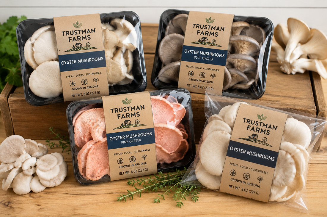 Oyster Mushrooms: The Fast-Growing Gourmet Mushroom We Plan to Grow at Trustman Farms