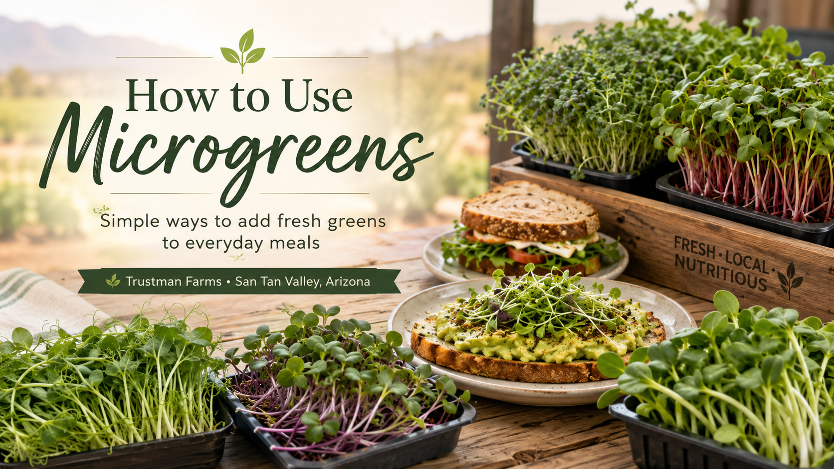 How to Use Microgreens in Everyday Meals | Trustman Farms