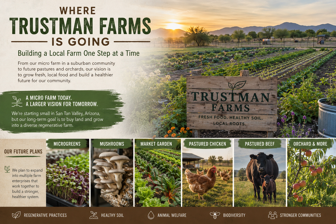 Where Trustman Farms Is Going | San Tan Valley Micro Farm