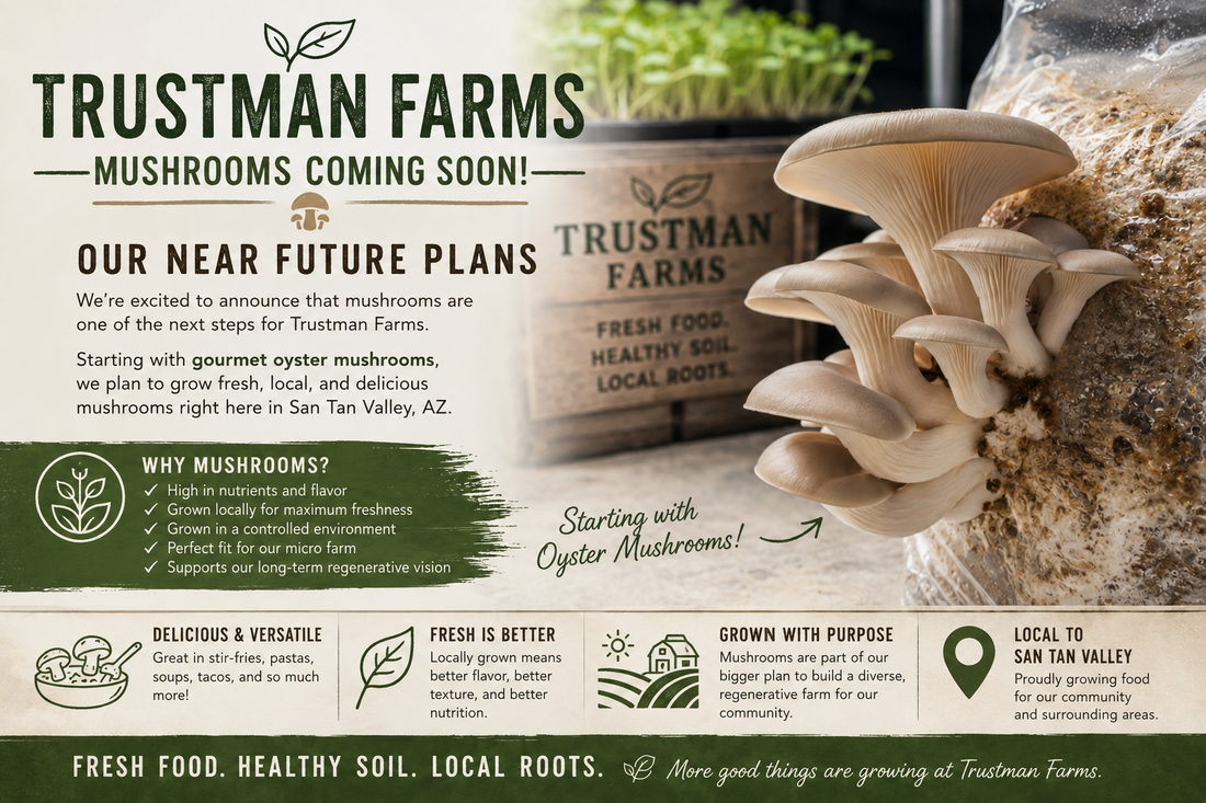 Mushrooms Coming Soon to Trustman Farms | San Tan Valley, AZ